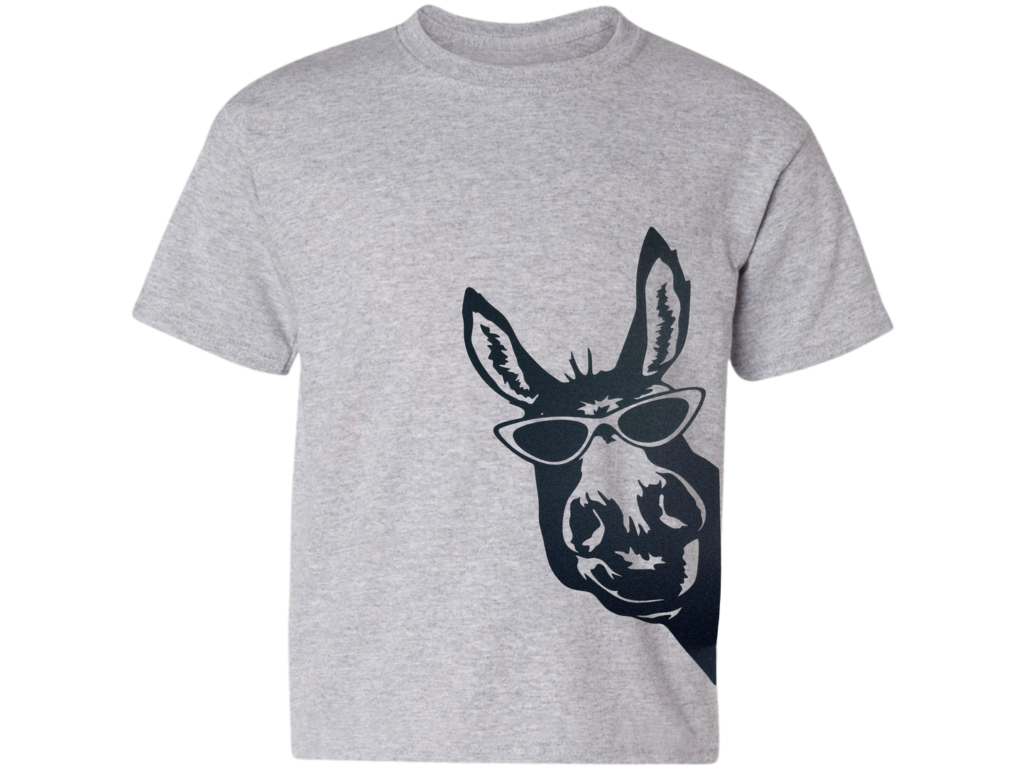 Donkey Kids Shirt