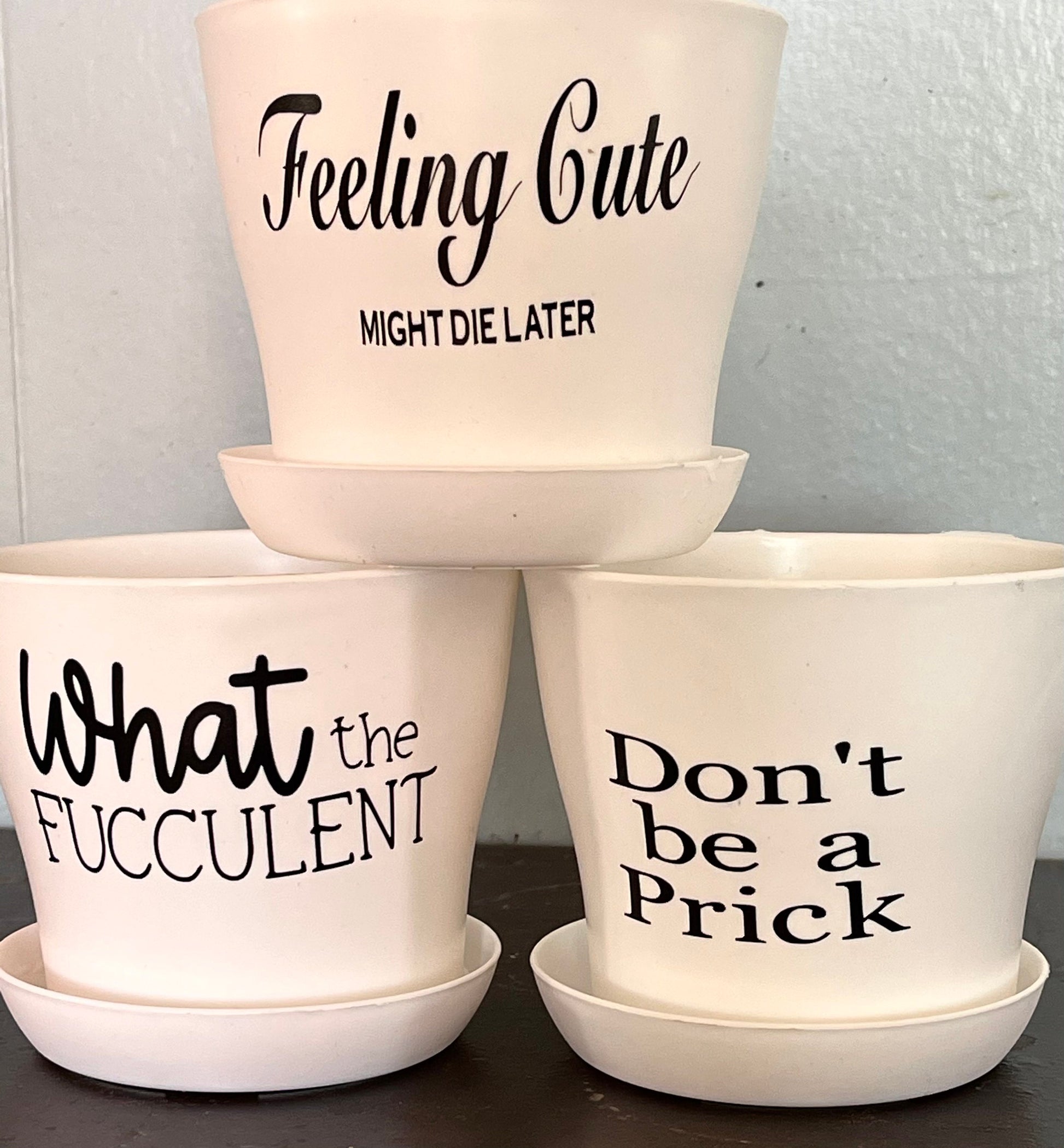 I'm Fine It's Fine Everything is Fine Planter Friends Ross Funny Plant Pot  Succulent Pot W/ Saucer Plants NOT Included matte White 